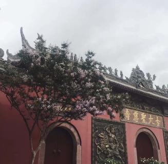 天狮娱乐：助力公益活动建设，实现经济效益与社会效益的双赢！